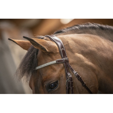 Trense Pénélope Harmonie Havanna Braun