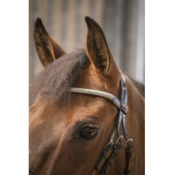 Trense Pénélope Harmonie Havanna Braun