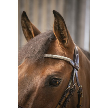 Trense Pénélope Harmonie Havanna Braun