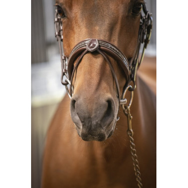 Trense Pénélope Harmonie Havanna Braun