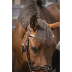 Trense Pénélope Harmonie Havanna Braun