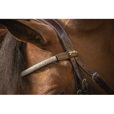 Trense Pénélope Harmonie Havanna Braun
