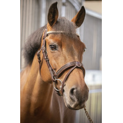 Trense Pénélope Harmonie Havanna Braun