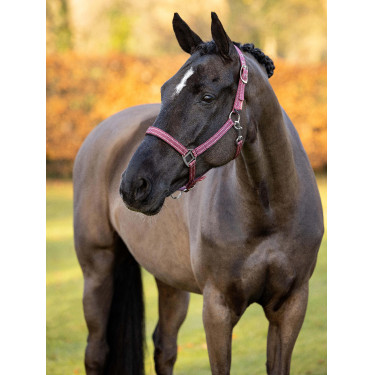 Neoprenhalfter LeMieux Yard Neoprenhalfter LeMieux Yard