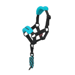 Halfter Vogue für Spielzeug-Mini-Pony LeMieux Azurblau Halfter Vogue für Spielzeug-Mini-Pony LeMieux Azurblau