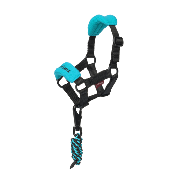 Halfter Vogue für Spielzeug-Mini-Pony LeMieux Azurblau Halfter Vogue für Spielzeug-Mini-Pony LeMieux Azurblau