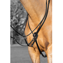 Martingal mit Ringen Kudos LeMieux Martingal mit Ringen Kudos LeMieux