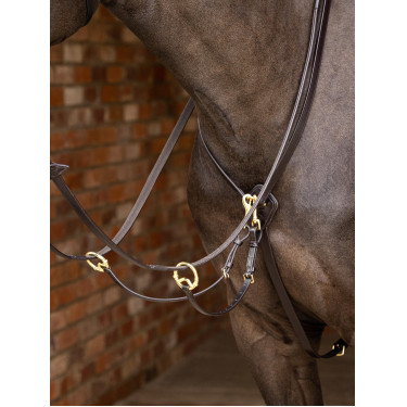 Martingal mit Ringen Kudos LeMieux Braun / Messing