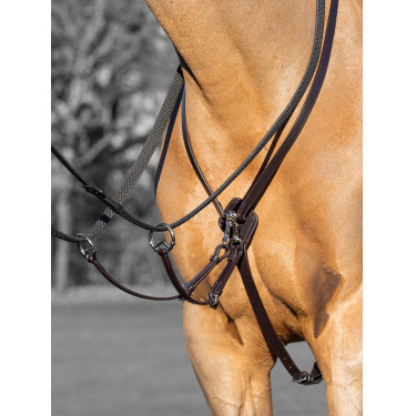 Martingal mit Ringen Kudos LeMieux Martingal mit Ringen Kudos LeMieux