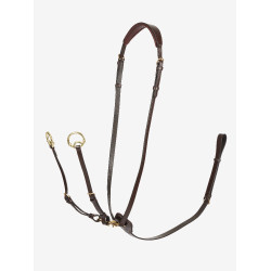 Martingal mit Ringen Kudos LeMieux Havanna / Messing Braun
