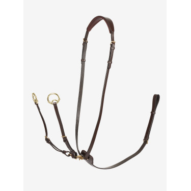 Martingal mit Ringen Kudos LeMieux Havanna / Messing Braun
