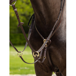 Martingal mit Ringen Kudos LeMieux Havanna / Messing Braun