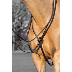 Martingal mit Ringen Kudos LeMieux Havanna / Messing Braun