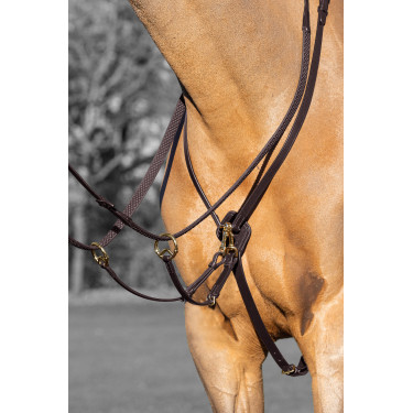 Martingal mit Ringen Kudos LeMieux Havanna / Messing Braun