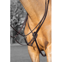 Martingal mit Ringen Kudos LeMieux Havanna / Silber Braun