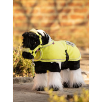 Mini Poney LeMieux Razzle