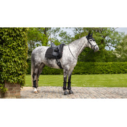 LeMieux Dressur-Arbeitsunterlage LeMieux Dressur-Arbeitsunterlage