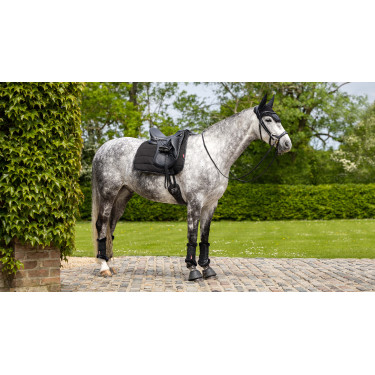 LeMieux Dressur-Arbeitsunterlage LeMieux Dressur-Arbeitsunterlage