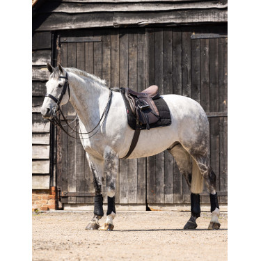 LeMieux Dressur-Arbeitsunterlage LeMieux Dressur-Arbeitsunterlage