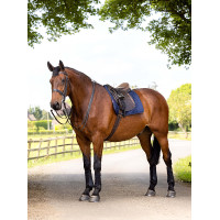 LeMieux Dressur-Arbeitsunterlage Marineblau