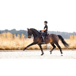 LeMieux Suede Puissance Dressur Schabracke Braun