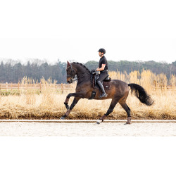 LeMieux Suede Puissance Dressur Schabracke Braun