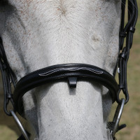 Trensenzaum mit Bügel Raphaël T de T Schwarz