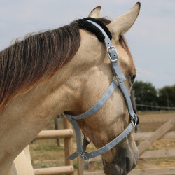 Synthetisches Schafhalfter T de T Grau / Schwarz