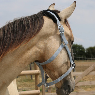 Synthetisches Schafhalfter T de T Grau / Schwarz