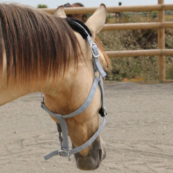 Synthetisches Schafhalfter T de T Grau / Schwarz