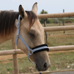 Synthetisches Schafhalfter T de T Grau / Schwarz