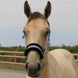 Synthetisches Schafhalfter T de T Grau / Schwarz