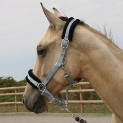 Synthetisches Schafhalfter T de T Grau / Schwarz