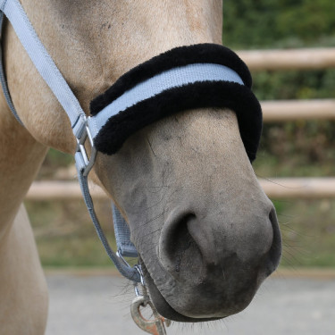 Synthetisches Schafhalfter T de T Grau / Schwarz