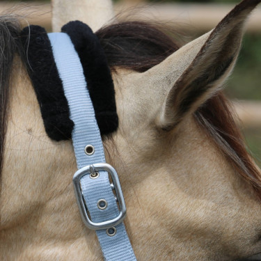 Synthetisches Schafhalfter T de T Grau / Schwarz