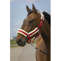 Licol Equithème Nylon Mouton Bordeaux / blanc