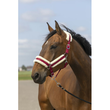Halfter Equithème Nylon Lammfell Halfter Equithème Nylon Lammfell