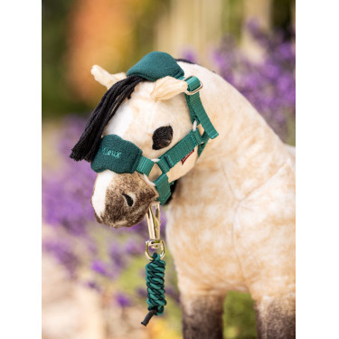Mini-Pony LeMieux Dream Mini-Pony LeMieux Dream
