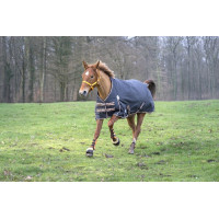 Equithème Tyrex 1200 D Decke / Transparent Equithème Tyrex 1200 D Decke / Transparent