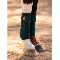 Polo-Bandagen Loire LeMieux Fichtengrün Polo-Bandagen Loire LeMieux Fichtengrün