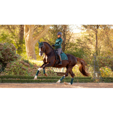 Polo-Bandagen Loire LeMieux Fichtengrün Polo-Bandagen Loire LeMieux Fichtengrün