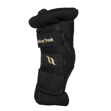 Rückenschoner Back on Track® Royal Deluxe Rückenschoner Back on Track® Royal Deluxe