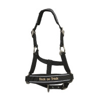 Halfter Back on Track® Werano Reflektierend Schwarz reflektierend Halfter Back on Track® Werano Reflektierend Schwarz reflektierend