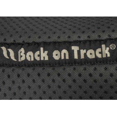 Stoßdämpfer Back on Track® Aurora Stoßdämpfer Back on Track® Aurora