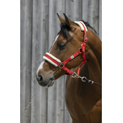 Kopfstück Riding World synthetisches Lammfell Kopfstück Riding World synthetisches Lammfell