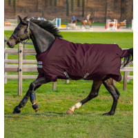 Pferdedecke Horseware Amigo Hero Ripstop Turnout mit Fleecefutter 50g Feige / Feige Bordeaux Pferdedecke Horseware Amigo Hero Ripstop Turnout mit Fleecefutter 50g Feige / Feige Bordeaux