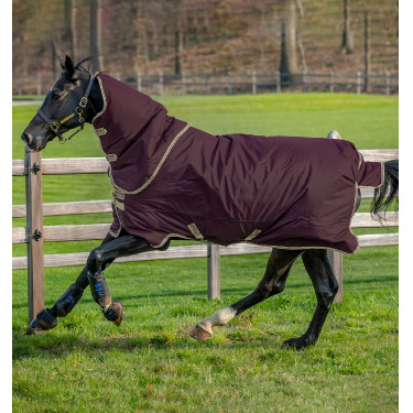 Horseware Amigo Hero Ripstop Plus Decke mit Halsteil 0g Feige / Marineblau Horseware Amigo Hero Ripstop Plus Decke mit Halsteil 0g Feige / Marineblau