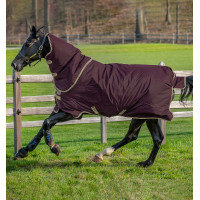 Pferdedecke Horseware Amigo Hero Ripstop Plus 100g Feige / Marineblau Lila Pferdedecke Horseware Amigo Hero Ripstop Plus 100g Feige / Marineblau Lila