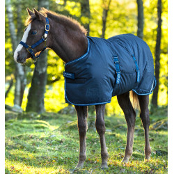 Fohlen-Decke Horseware Amigo Ripstop Foal 200g