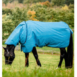 Pferdedecke Horseware Amigo Hero 900 Revive Plus 200g Pferdedecke Horseware Amigo Hero 900 Revive Plus 200g